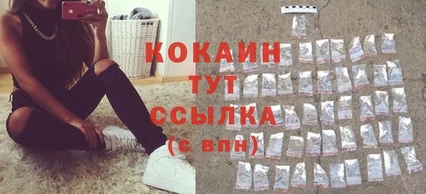 винт Абаза