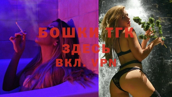 винт Абаза