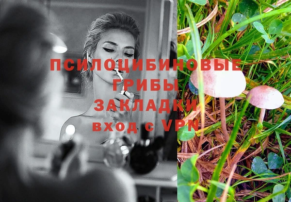 винт Абаза
